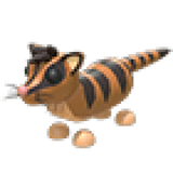 Banded Palm Civet