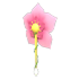 Cherry Blossom Earring