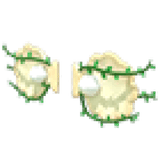 Clam Wings