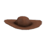 Cowboy Hat