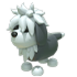 English Sheepdog