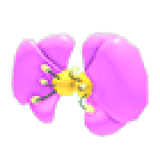Flower Wings