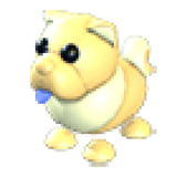 Golden Chow-Chow