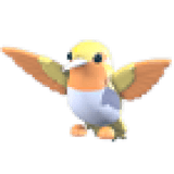 Golden Hummingbird