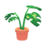 Monstera Plant Pot