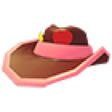 Pink Cowboy Hat