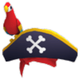 Pirate Hat & Friend
