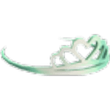 Platinum Tiara