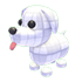 Practice Dog