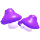 Purple Mushrooms