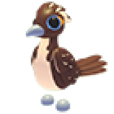 Roadrunner