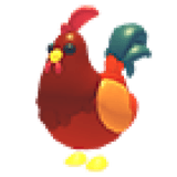 Rooster