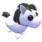 Shetland Pony White