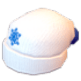 White Winter Hat